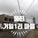울진거일1리어촌체험마을