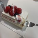 신세계무도장 | 내돈내산 육아템 :: 신세계 강남 스토케 방문 및 트립트랩 내추럴컬러 구매후기(Feat. 까사빠보, 쇼토...