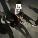 2026년 6월