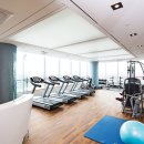 소노캄 고양 이미지