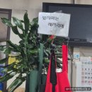 점촌기사님식당 이미지