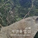 교래자연휴양림 이미지