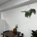 노바세탁소 이미지