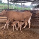 이성우농장 이미지