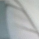 위너스메드 이미지