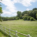 푸른목장Ⅱ 이미지