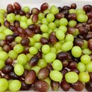 블라썸여좌 사회적협동조합 이미지