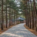 왕피천공원(동쪽) | 울진 망양정 겨울 여행 관동팔경 수평선이 주는 감동과 주차 꿀팁