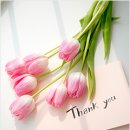 은혜머리마당 이미지