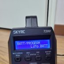 [판매완료]SKY RC T200 듀얼 충전기 팝니다 이미지