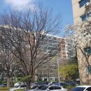 압구정-114 이미지