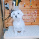 이쁘개(내포신도시점) 이미지