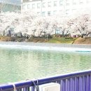 만경강길 4코스 이미지