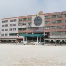 세종중고등학교 이미지