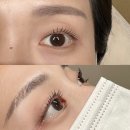 Sunhada(선하다) | [일산/화정] 자연스럽게 예쁜 속눈썹펌 화정동 속눈썹 후기 #선하다 눈썹&속눈썹펌
