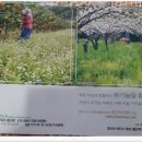 은해 농장 이미지