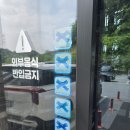커피감동 | 힐링 식물원 카페 ‘트리브링’ : 인생 디저트 초코버터푸딩과 감동적인 커피 맛 후기! (+아이 선물 포장)