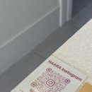 도안 ECO 종합동물병원 | 대전 도안동물병원 야간진료가능한 곳 대전 나아라동물병원