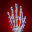 만택루쎄의원 이미지