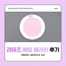 라뮤즈 베일 블러쉬 페일 라벤더 데일리 블러셔로 사용해본 후기
