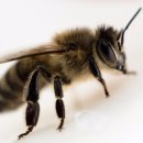 이민준한의원 이미지