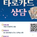 타로카드상담 이미지
