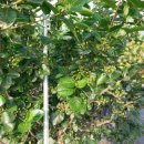 산너머농장 이미지