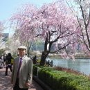 석촌공원길 이미지