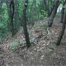 계룡IC - 충청남도 | 계룡IC