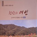 조세증「천상의 여인 Daum카페