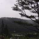 산천초목 이미지