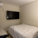 파루스셀라 성수 이미지