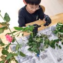 화랑농장 이미지