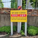 충남 논산 학생승마체험 논산승마월드