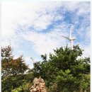 하늘풍차 이미지