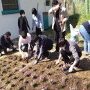 덕도초등학교 이미지