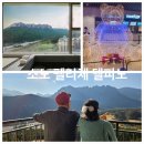 미시령옛길산림관앞 | '소노 펠리체 델피노' 리조트 솔직 사용 후기