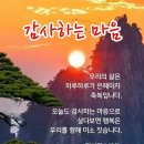 ? 이미지