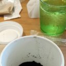 스타벅스커피(범계로데오) 이미지