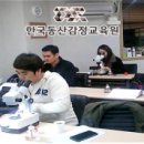 동산유통 이미지