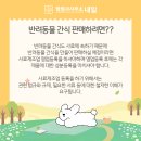 휴먼행정사사무소 이미지