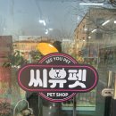 뚜뚜보떼펫살롱 네이버블로그