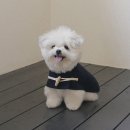 멍뭉(MUNGMOONG) 이미지