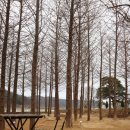 해 스테이 이미지