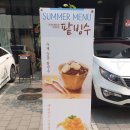 아르볼꼴렉 이미지