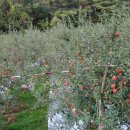 _나루터로2-10 이미지