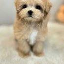 신우플러스원 이미지