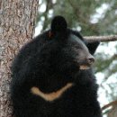 선정공원 이미지