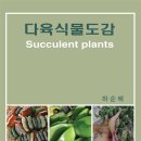 정다육 - 수원시 장안구 광교산로 587 | 정다육