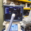 GE RIC5-9-D 4D micro-convex endocavitary probe 이미지